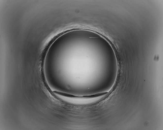 X0000090961503200708161805