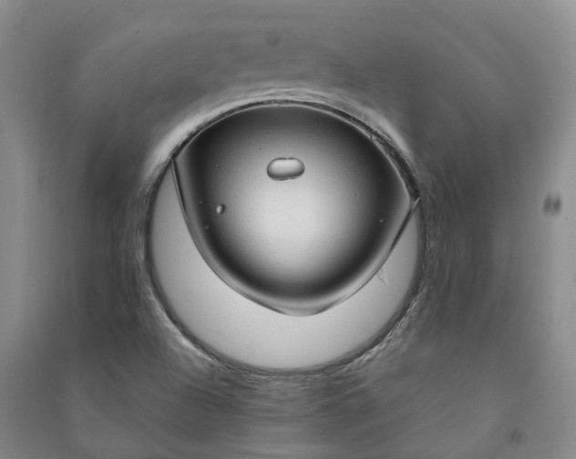 X0000090961504200708161805