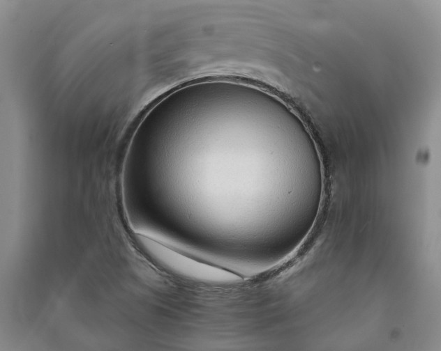 X0000090961505200708161805
