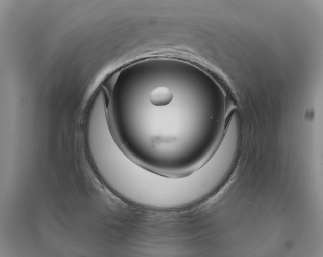 X0000090961506200708161805