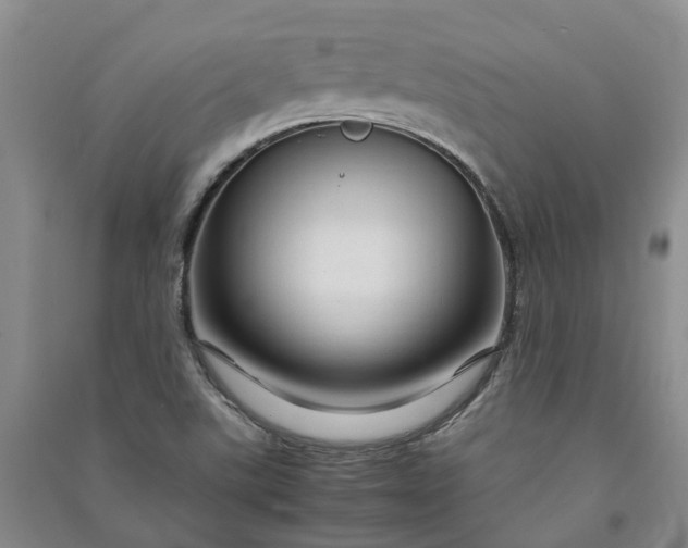 X0000090961507200708161805