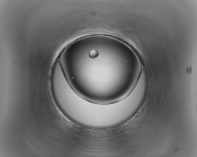 X0000090961508200708161805