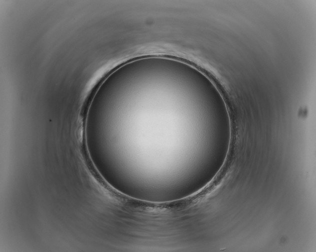 X0000090961509200708161805