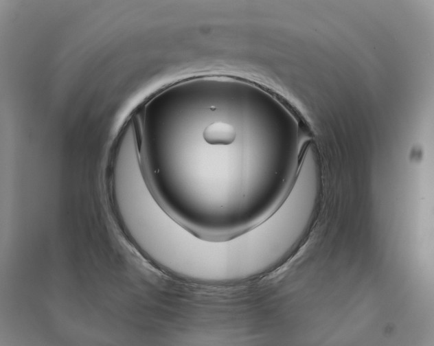 X0000090961510200708161805