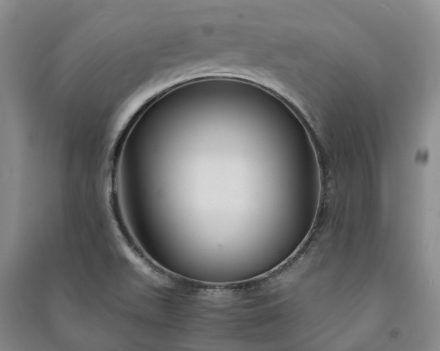 X0000090961511200708161805