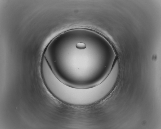 X0000090961512200708161805