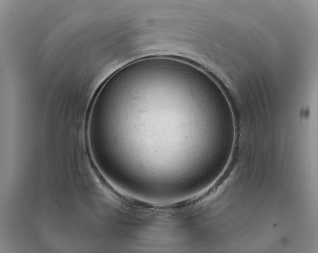 X0000090961513200708161805