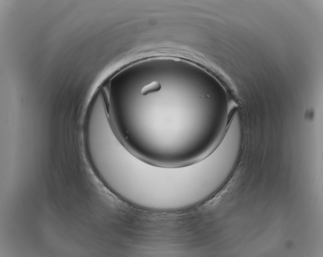 X0000090961514200708161805
