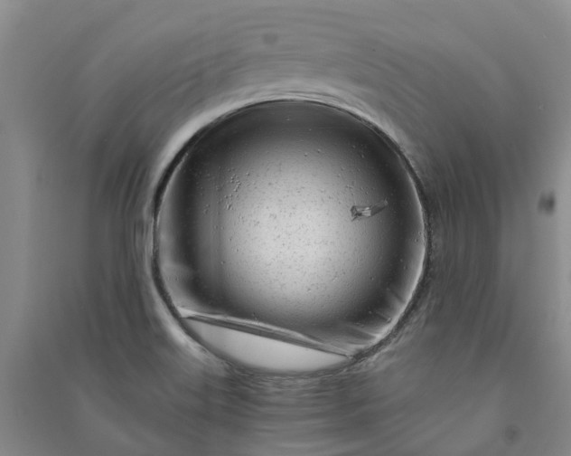 X0000090961515200708161805
