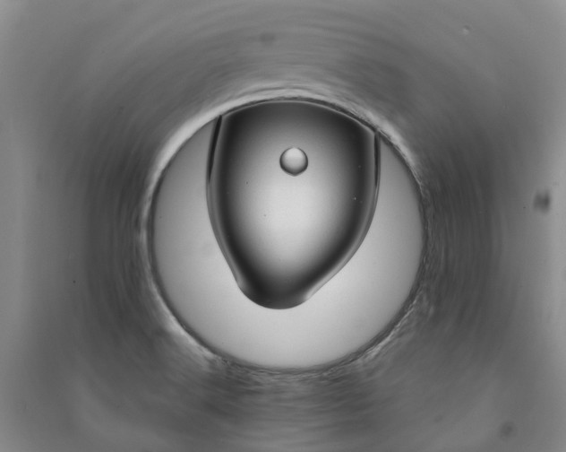 X0000090961516200708161805