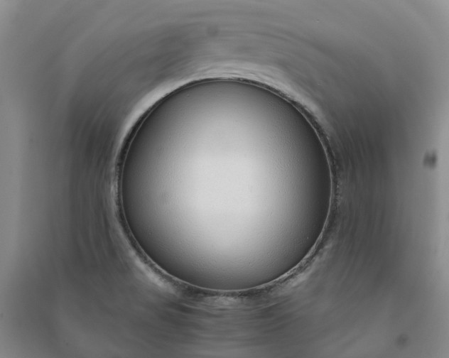 X0000090961517200708161805