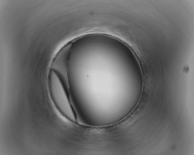 X0000090961519200708161806