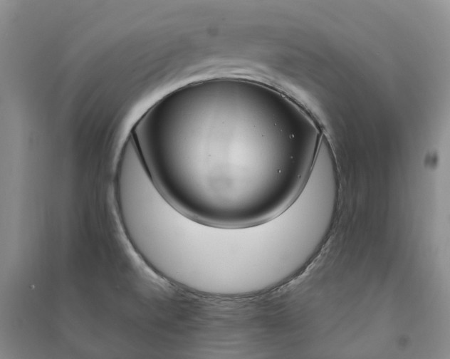 X0000090961520200708161806