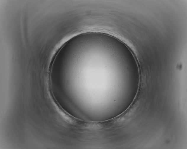 X0000090961525200708161806
