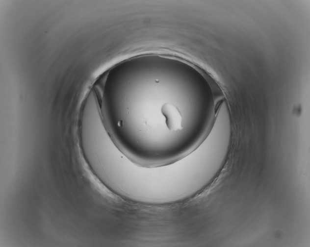 X0000090961526200708161806