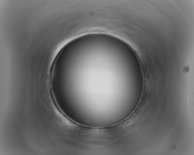 X0000090961527200708161806