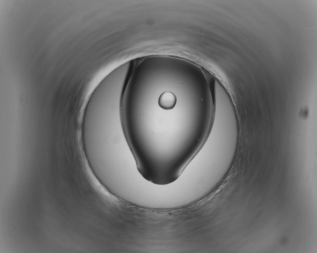 X0000090961528200708161806