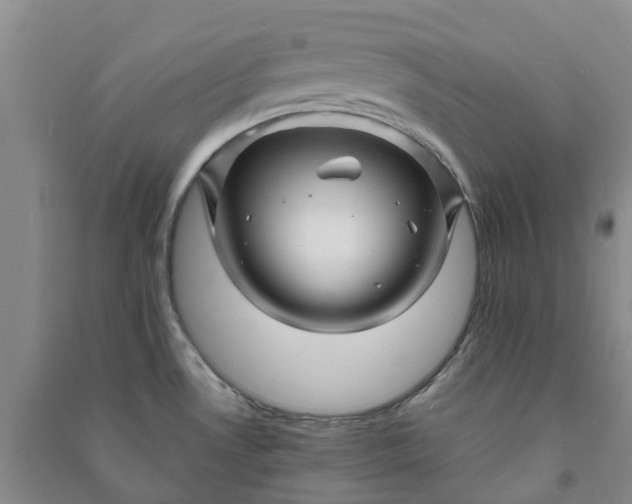 X0000090961530200708161806
