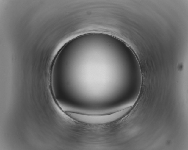 X0000090961531200708161806