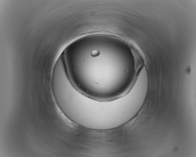 X0000090961532200708161806