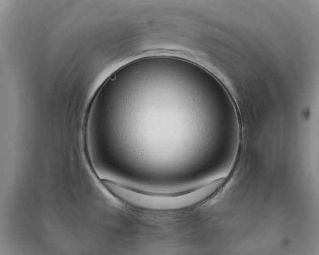 X0000090961533200708161806