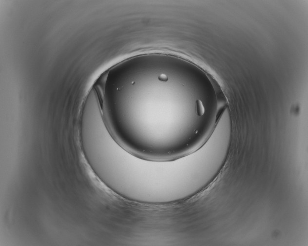 X0000090961534200708161806