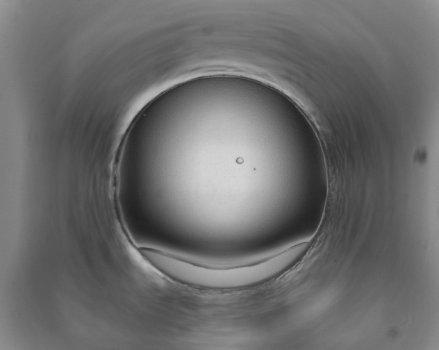 X0000090961535200708161806