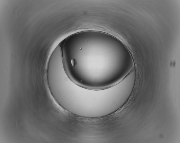 X0000090961536200708161806