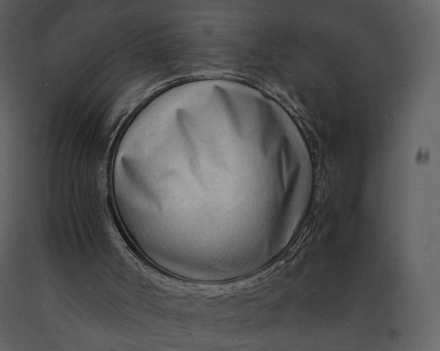 X0000090960002200708241204