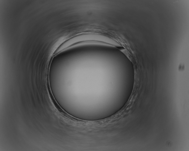 X0000090960003200708241204