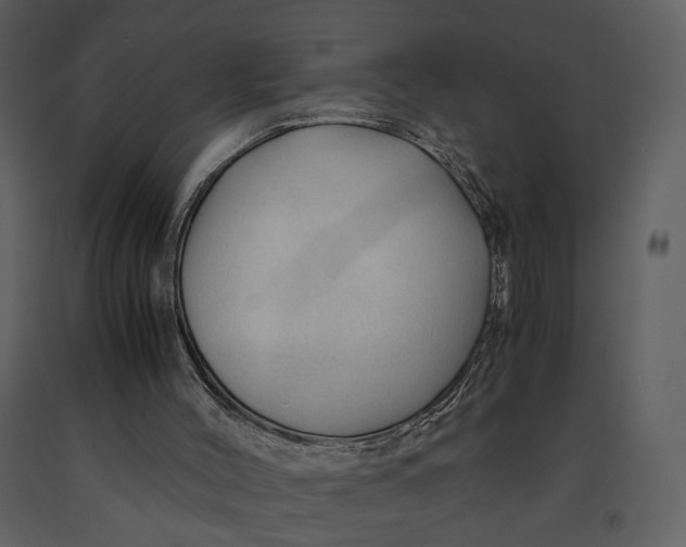 X0000090960004200708241204