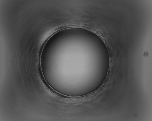 X0000090960005200708241204