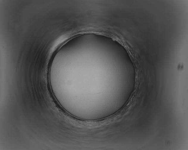 X0000090960006200708241204