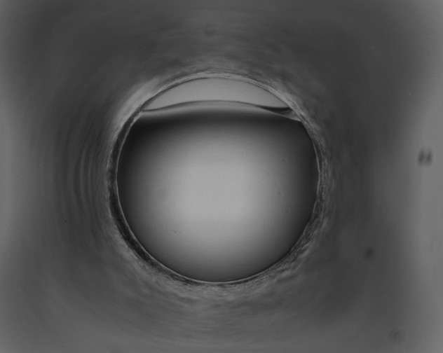 X0000090960007200708241204