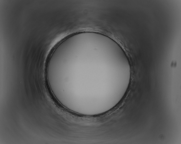 X0000090960008200708241204