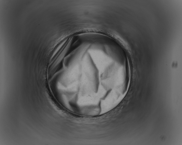 X0000090960009200708241203