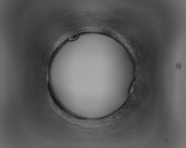 X0000090960011200708241203