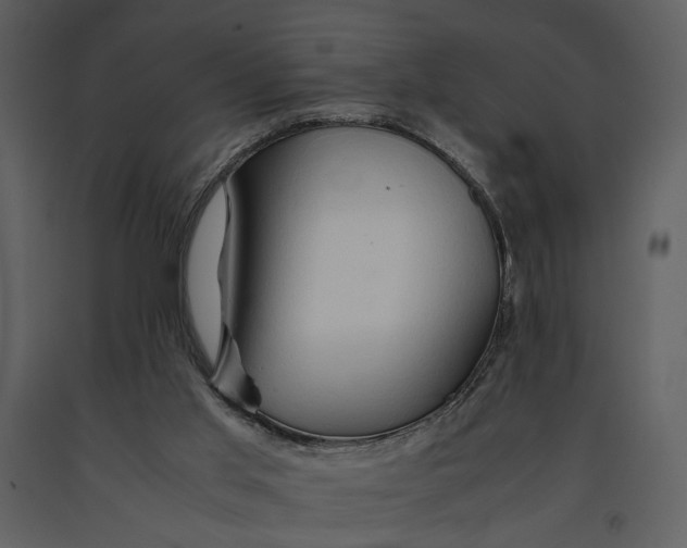 X0000090960013200708241203