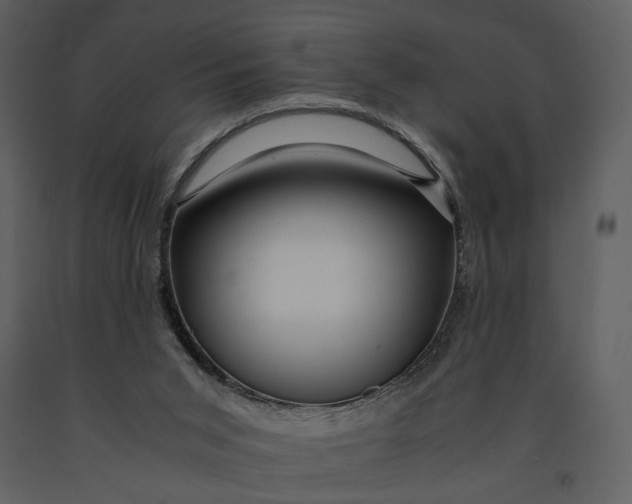 X0000090960015200708241203