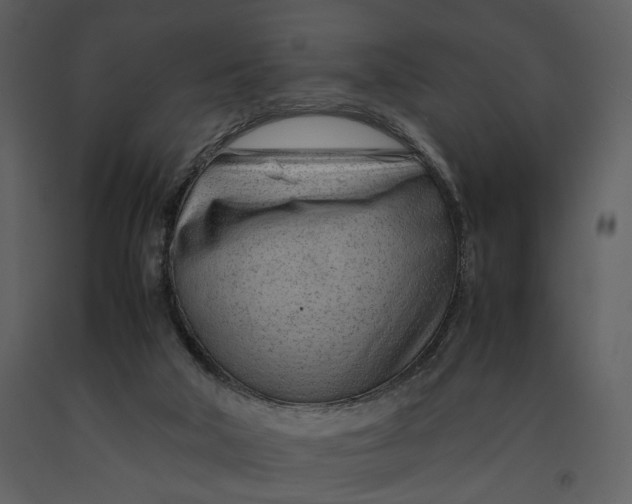 X0000090960018200708241203