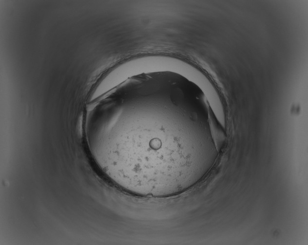 X0000090960019200708241203