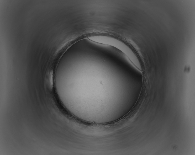 X0000090960020200708241203