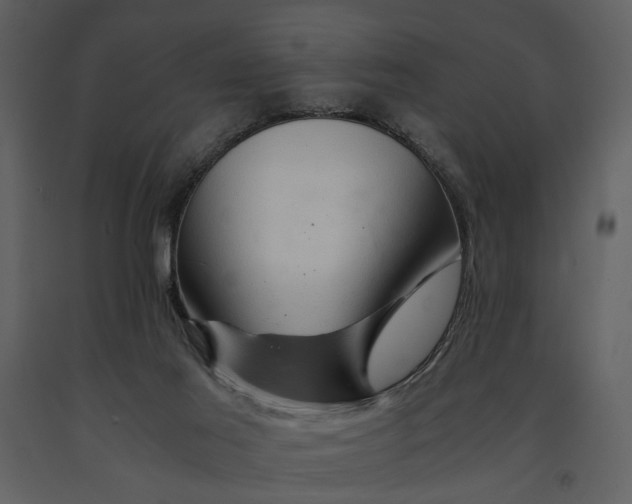 X0000090960021200708241203