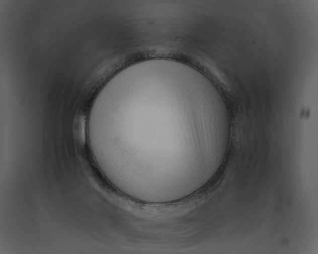 X0000090960022200708241203