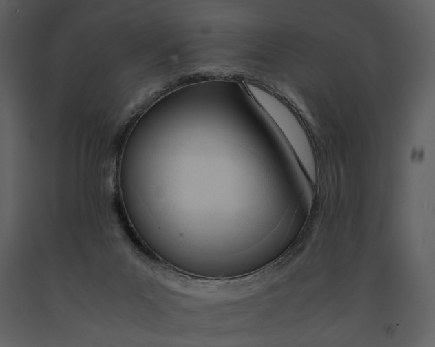 X0000090960023200708241203