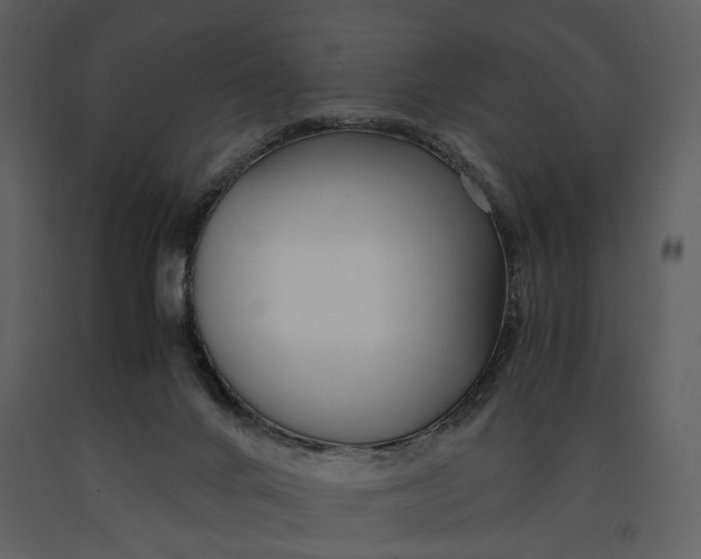 X0000090960024200708241203