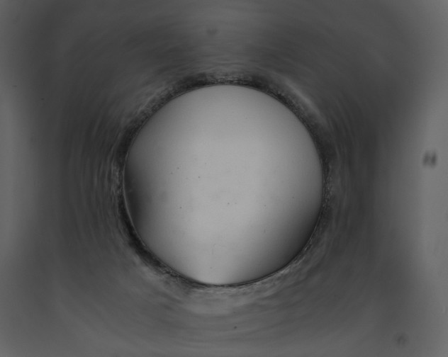 X0000090960025200708241203