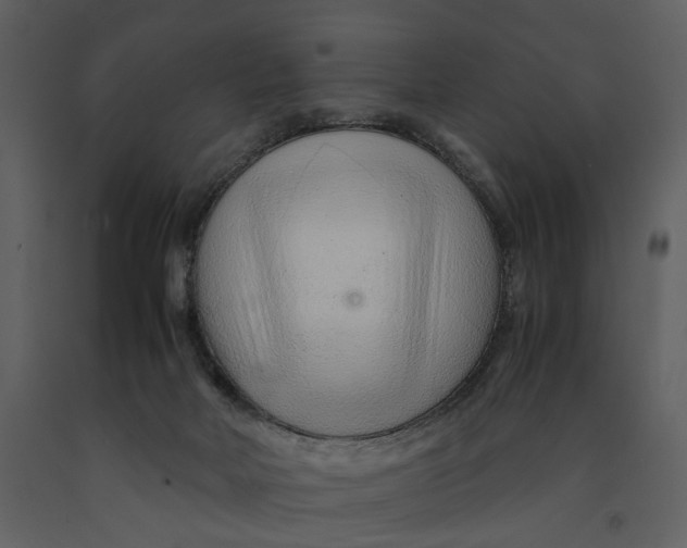 X0000090960026200708241203