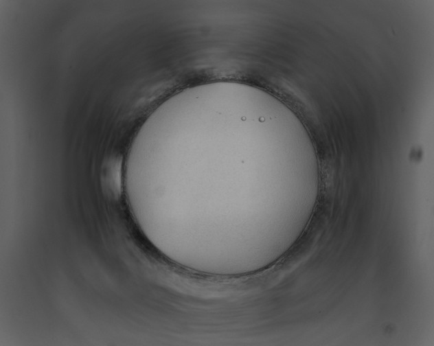 X0000090960028200708241203