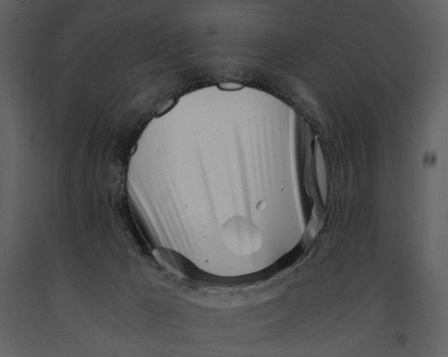 X0000090960029200708241203